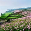 Kunming Spring City  4 Days Golf Holidays