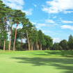 The Golf Club Ryugasaki 竜崎高爾夫俱樂部